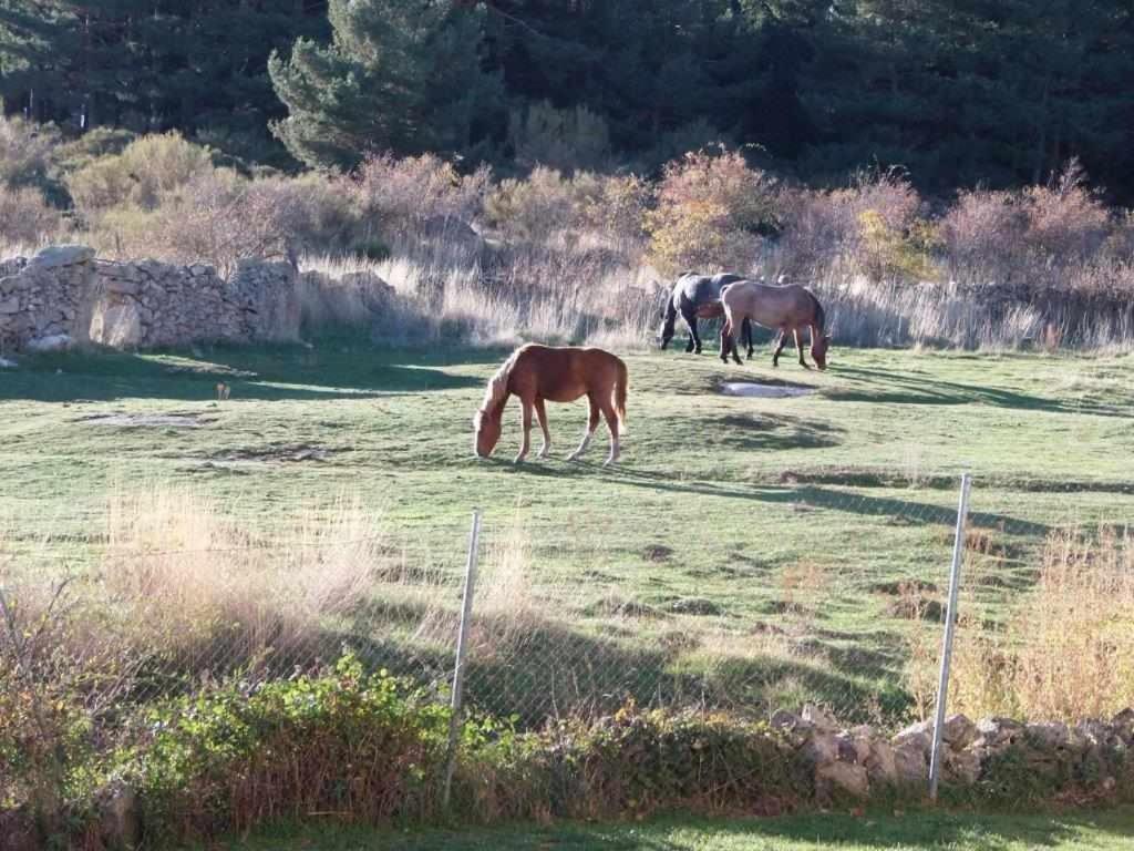 Casa Iona Chalet Adosado Con Vistas A La Montana Navarredonda de Gredos Kültér fotó